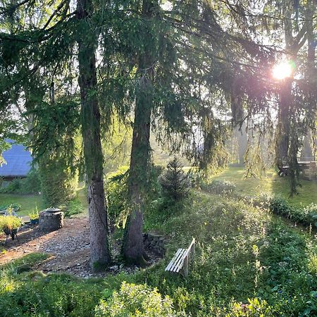 Liebevoll Eingerichtetes Ferienhaus Mit Grossem Garten Clausthal-Zellerfeld Exterior foto
