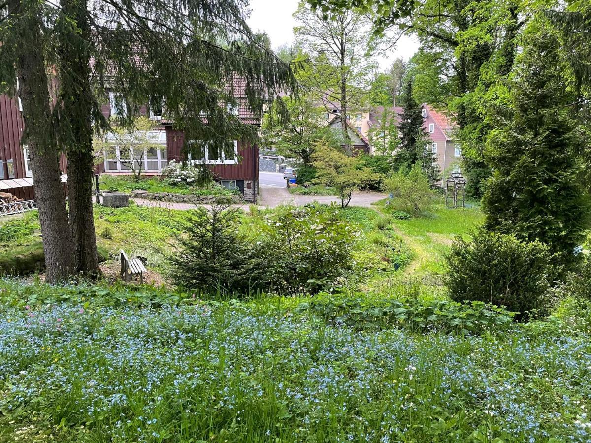 Liebevoll Eingerichtetes Ferienhaus Mit Grossem Garten Clausthal-Zellerfeld Exterior foto