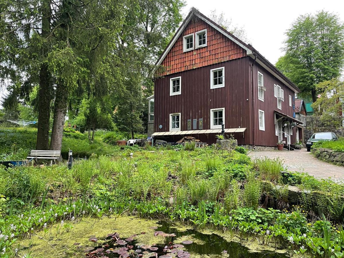 Liebevoll Eingerichtetes Ferienhaus Mit Grossem Garten Clausthal-Zellerfeld Exterior foto