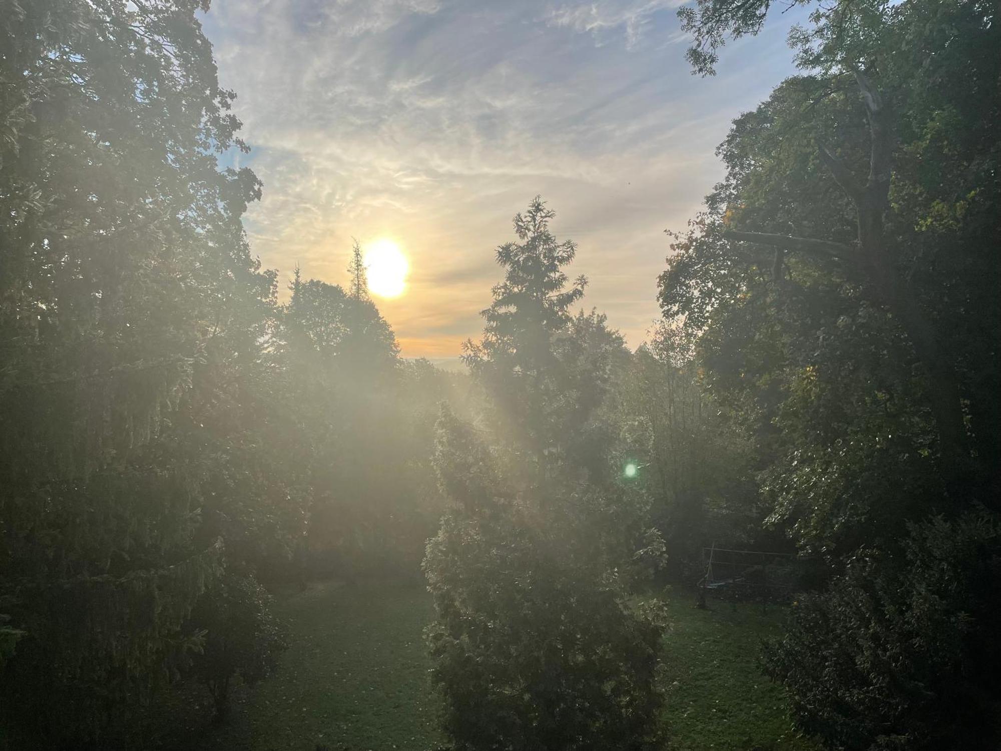 Liebevoll Eingerichtetes Ferienhaus Mit Grossem Garten Clausthal-Zellerfeld Exterior foto